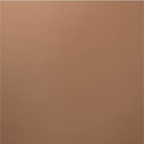 Alu Plain Polished Coppertone